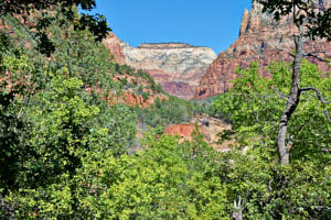 USA Zion<br>NIKON D4, 38 mm, 100 ISO,  1/320 sec,  f : 8 